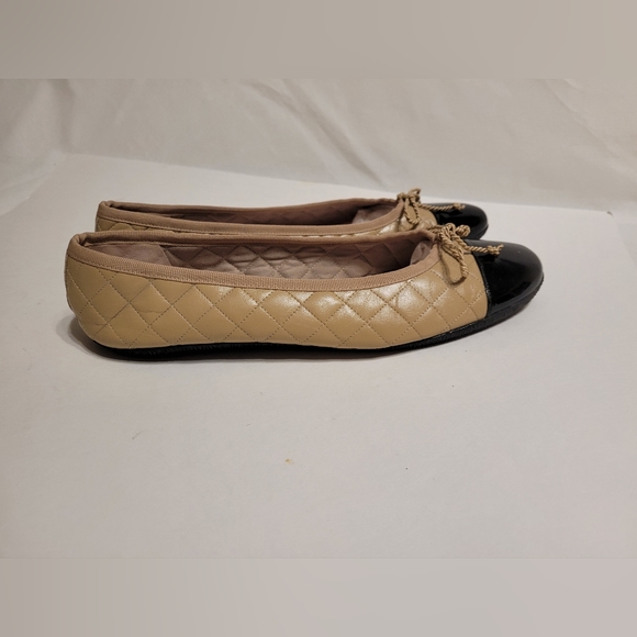 Paul Mayer Attitudes size10 - Picture 11 of 12